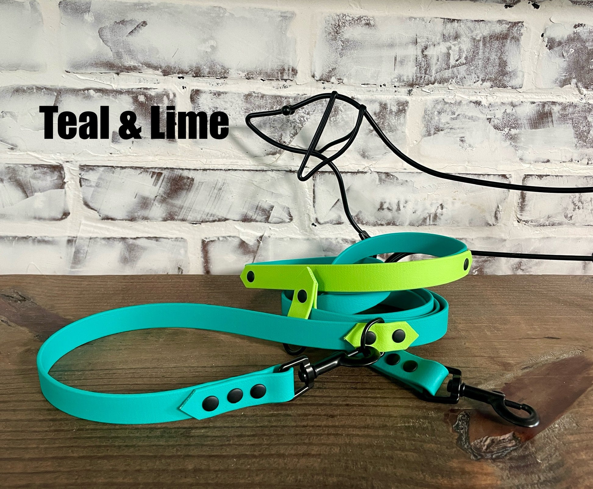 Hands Free • Waterproof Biothane Dog Leash