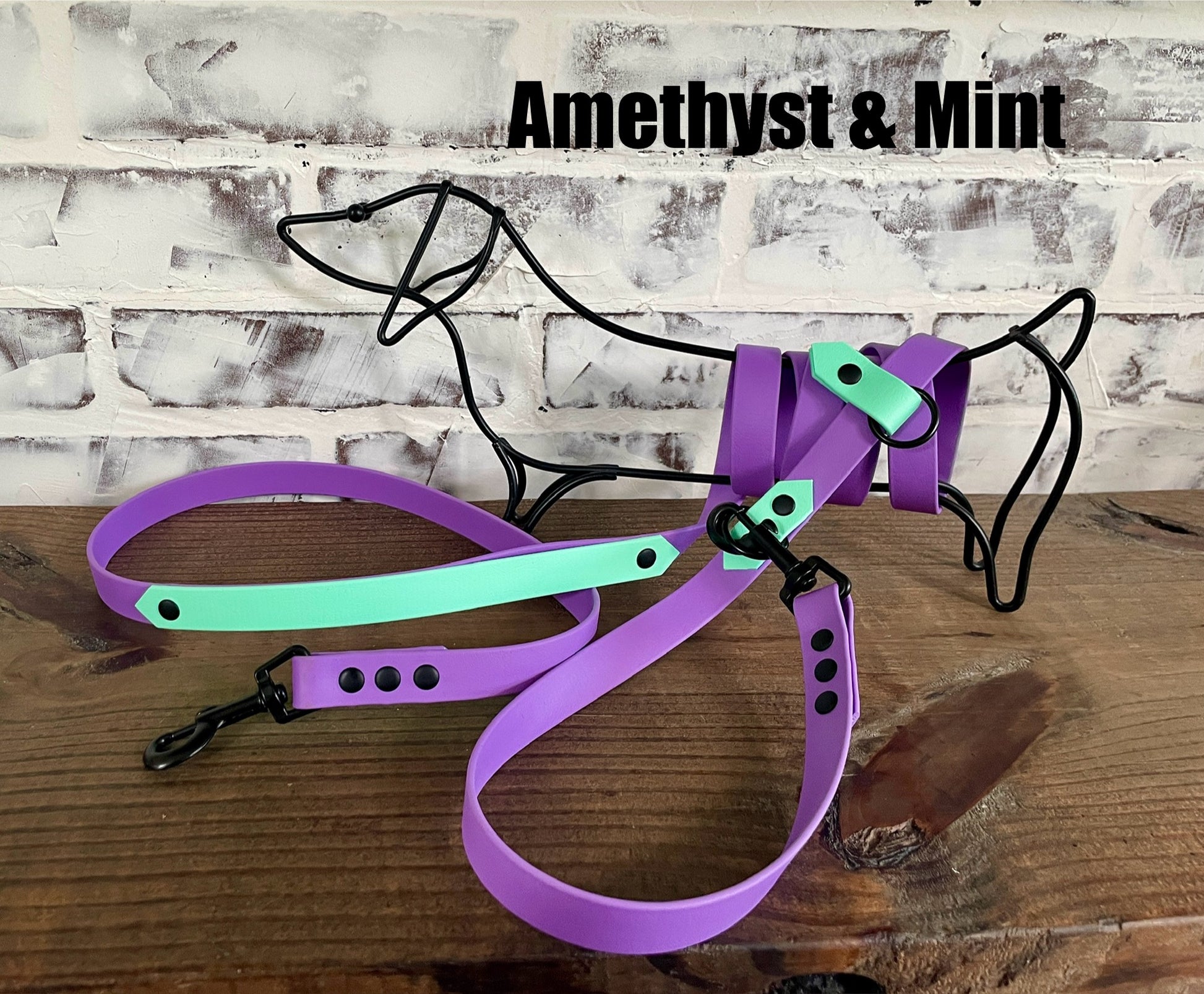 Hands Free • Waterproof Biothane Dog Leash