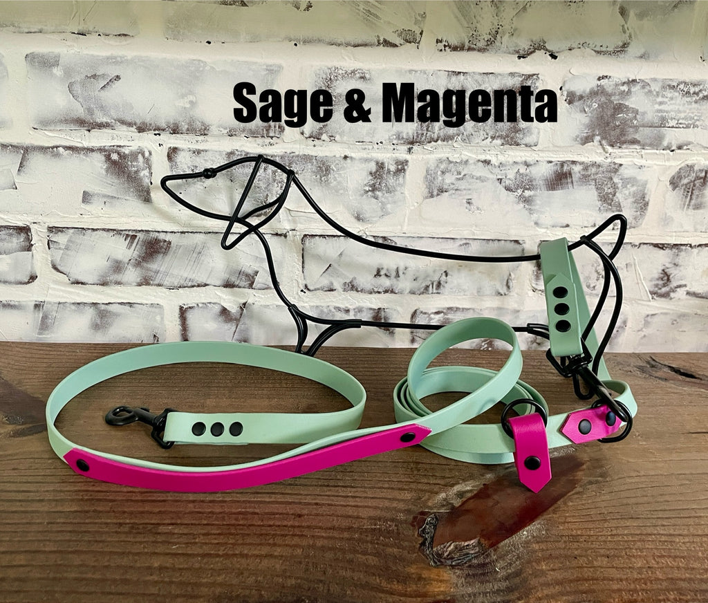 Hands Free • Waterproof Biothane Dog Leash