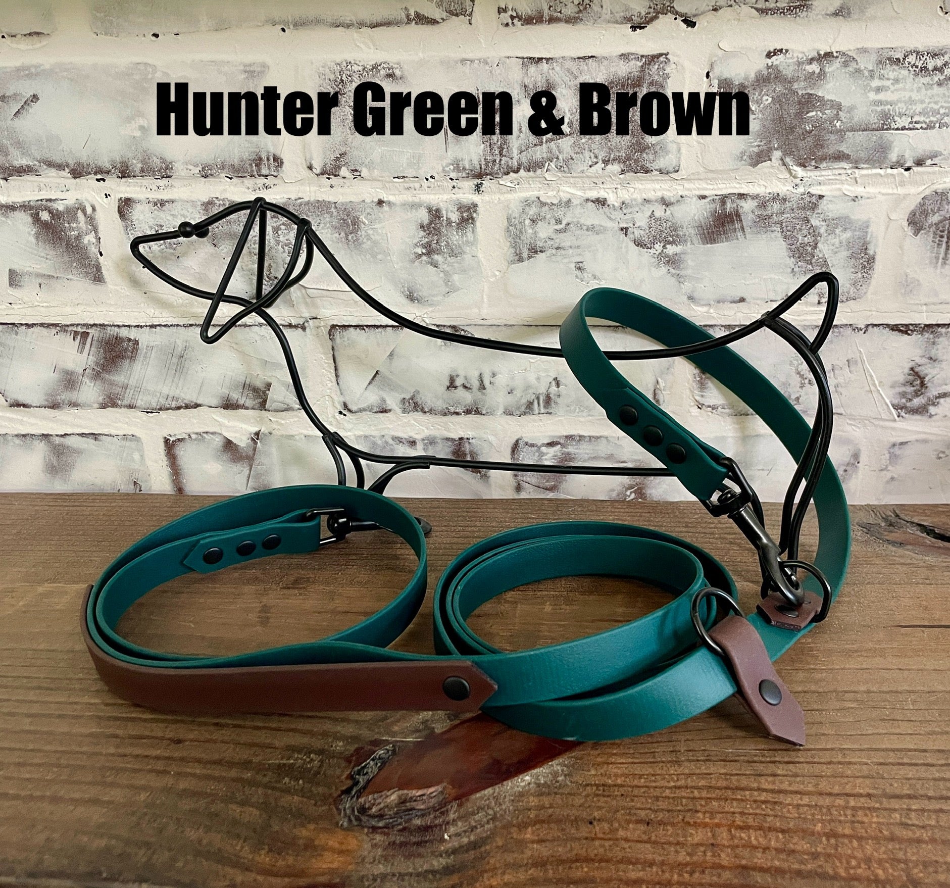 Hands Free • Waterproof Biothane Dog Leash