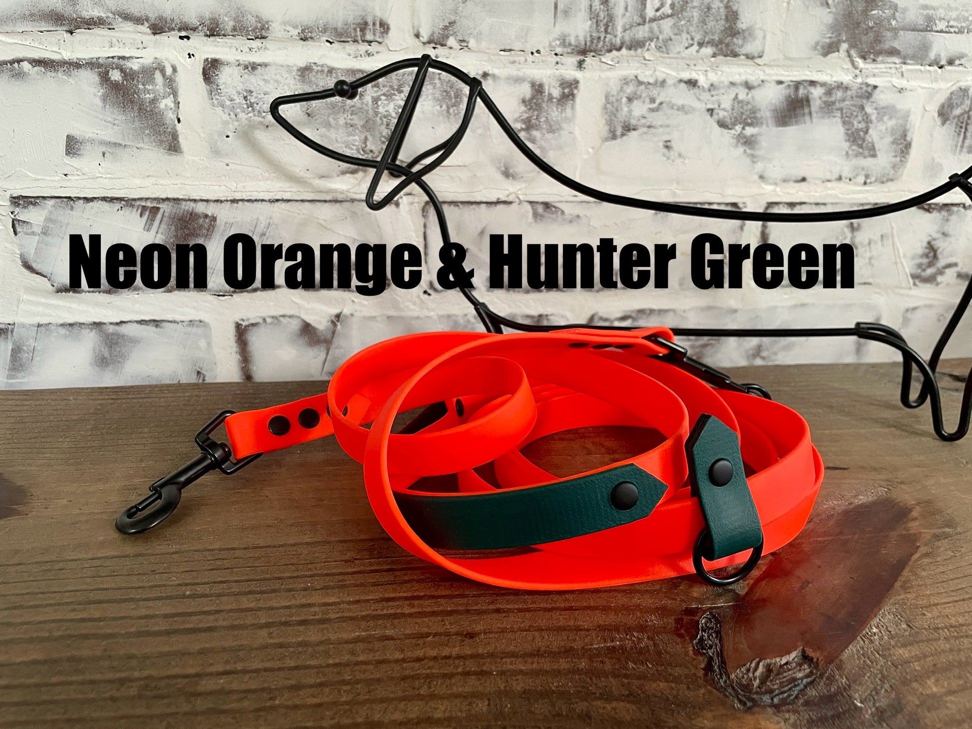 Hands Free • Waterproof Biothane Dog Leash