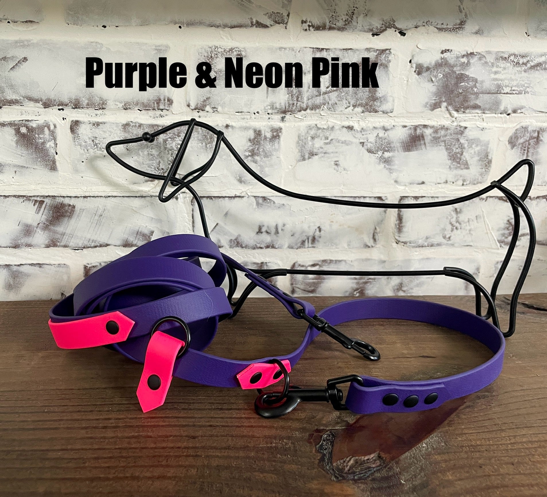 Hands Free • Waterproof Biothane Dog Leash