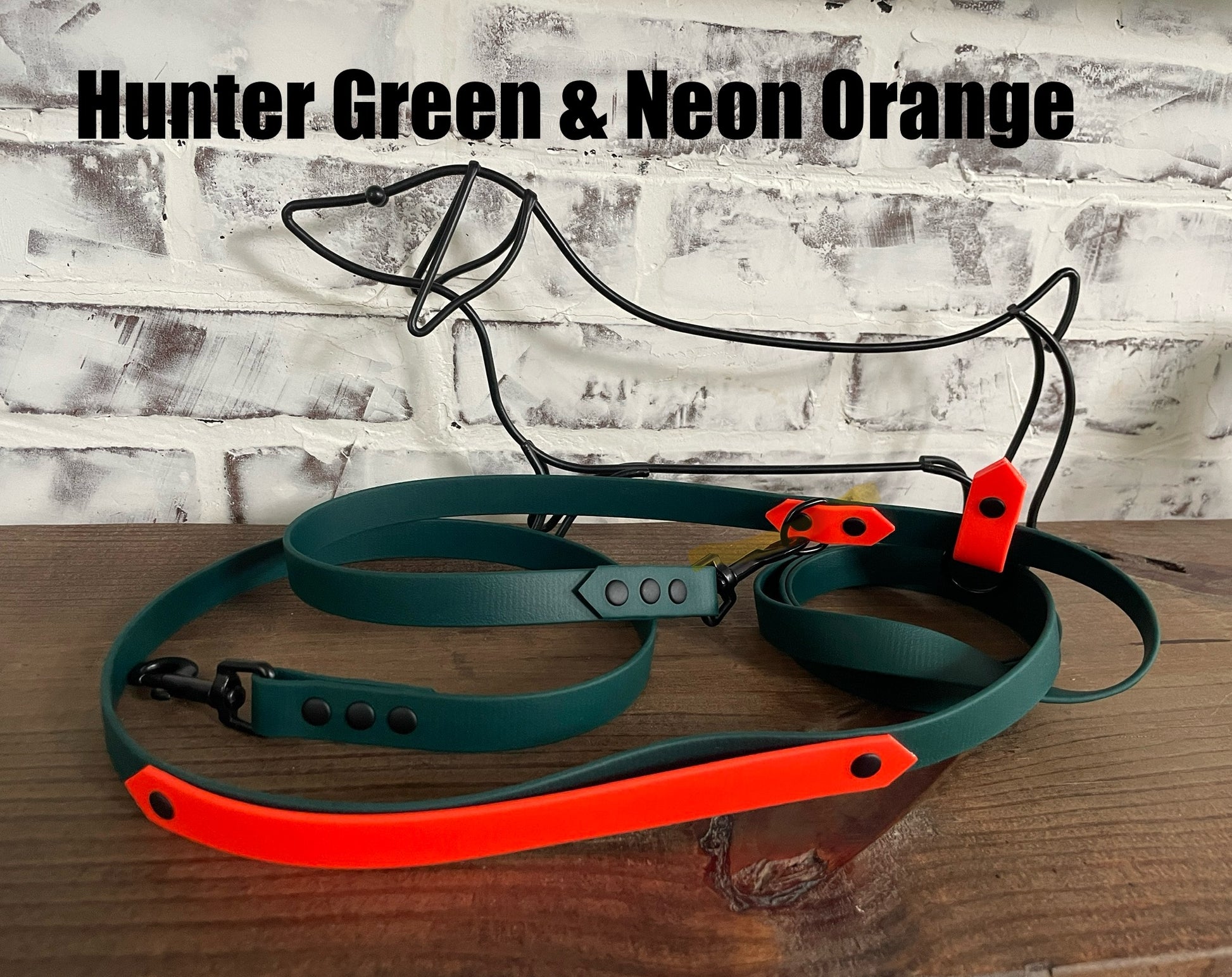 Hands Free • Waterproof Biothane Dog Leash