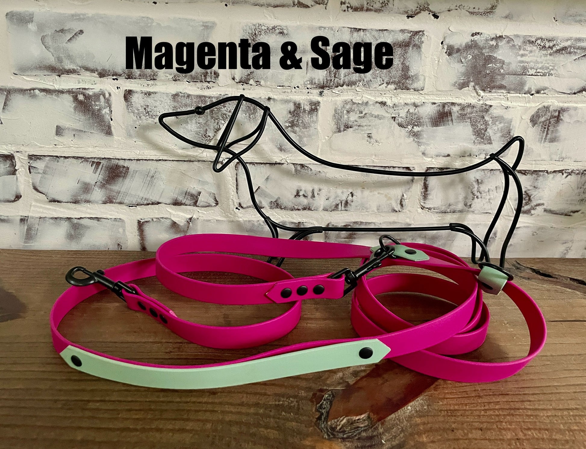 Hands Free • Waterproof Biothane Dog Leash