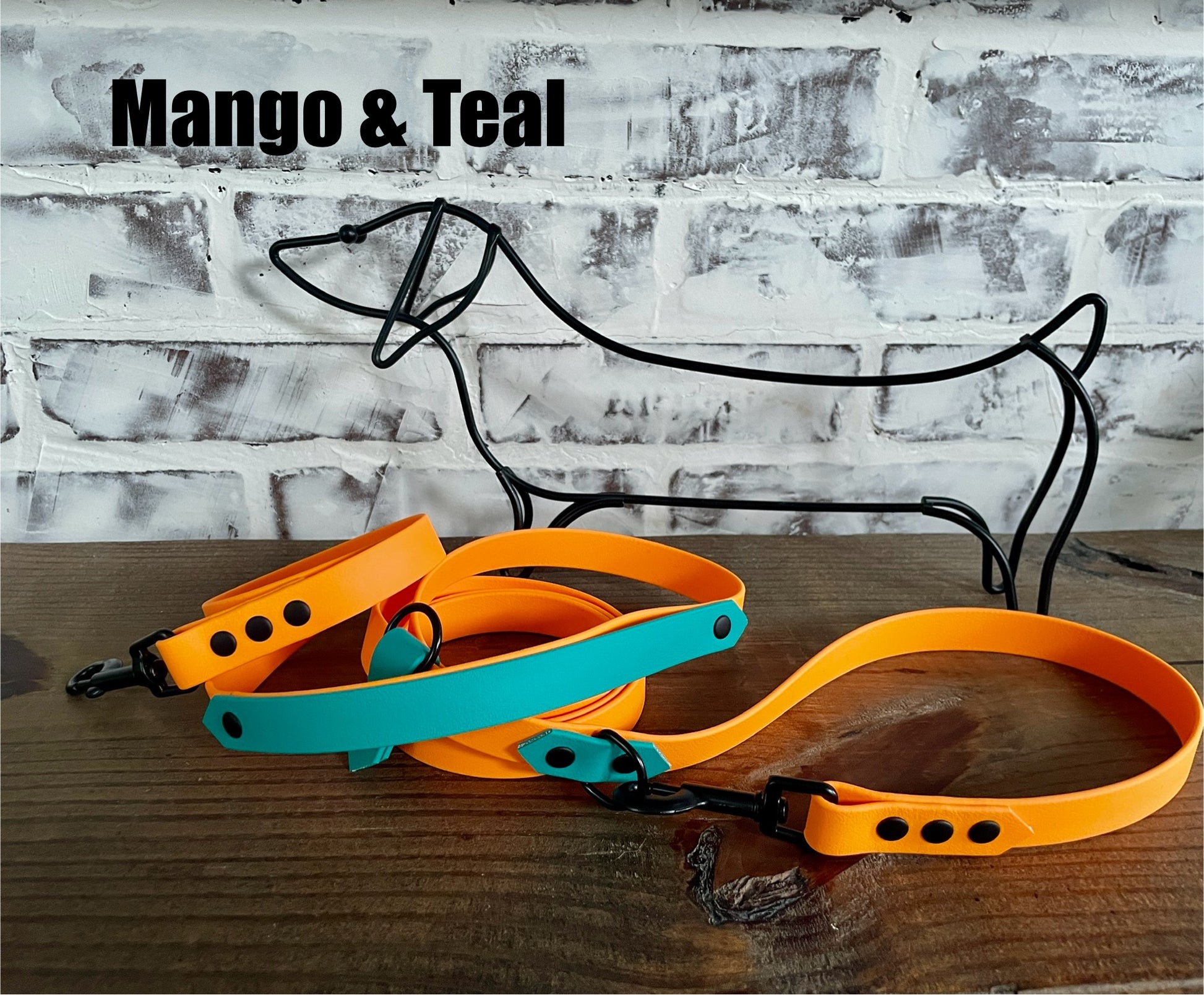 Hands Free • Waterproof Biothane Dog Leash