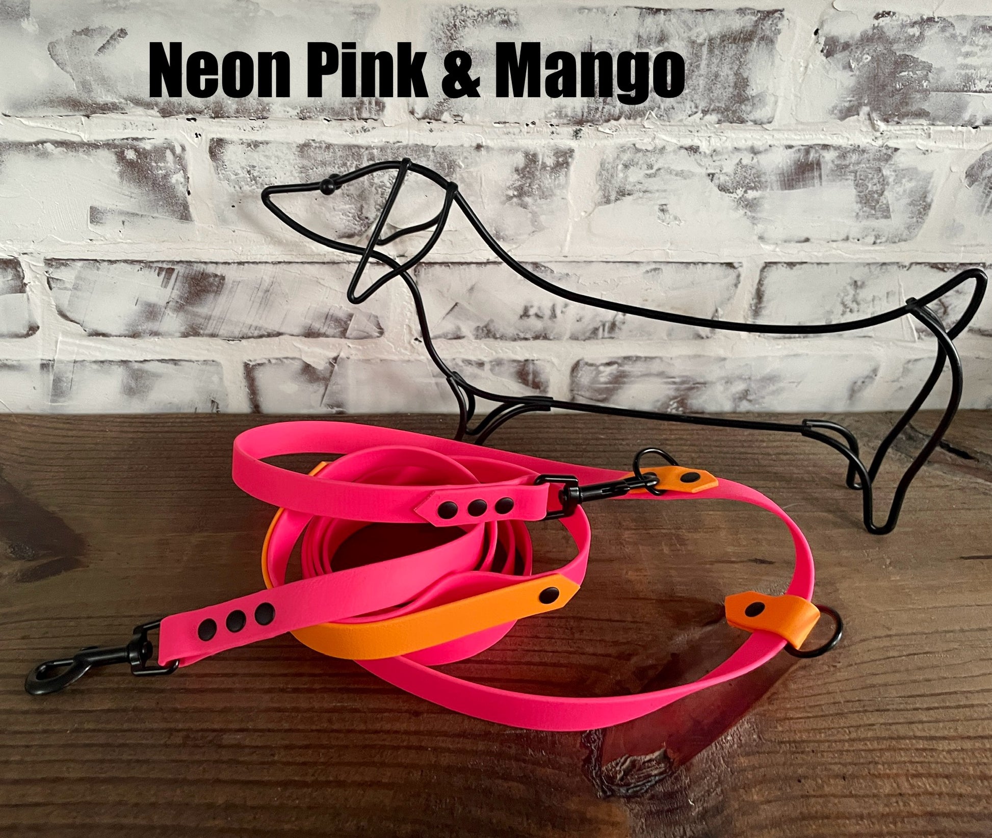 Hands Free • Waterproof Biothane Dog Leash