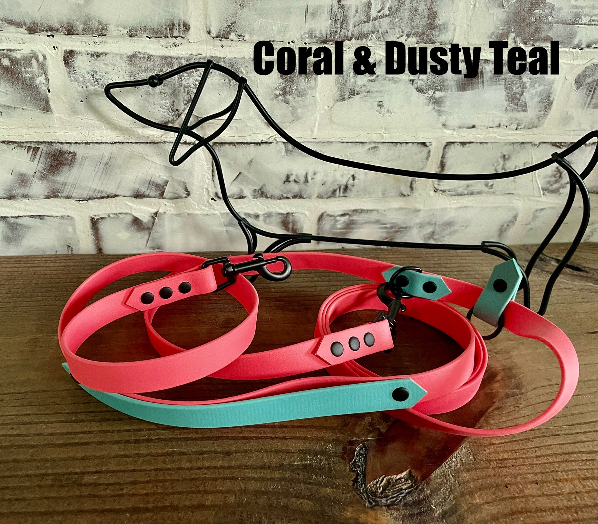 Hands Free • Waterproof Biothane Dog Leash