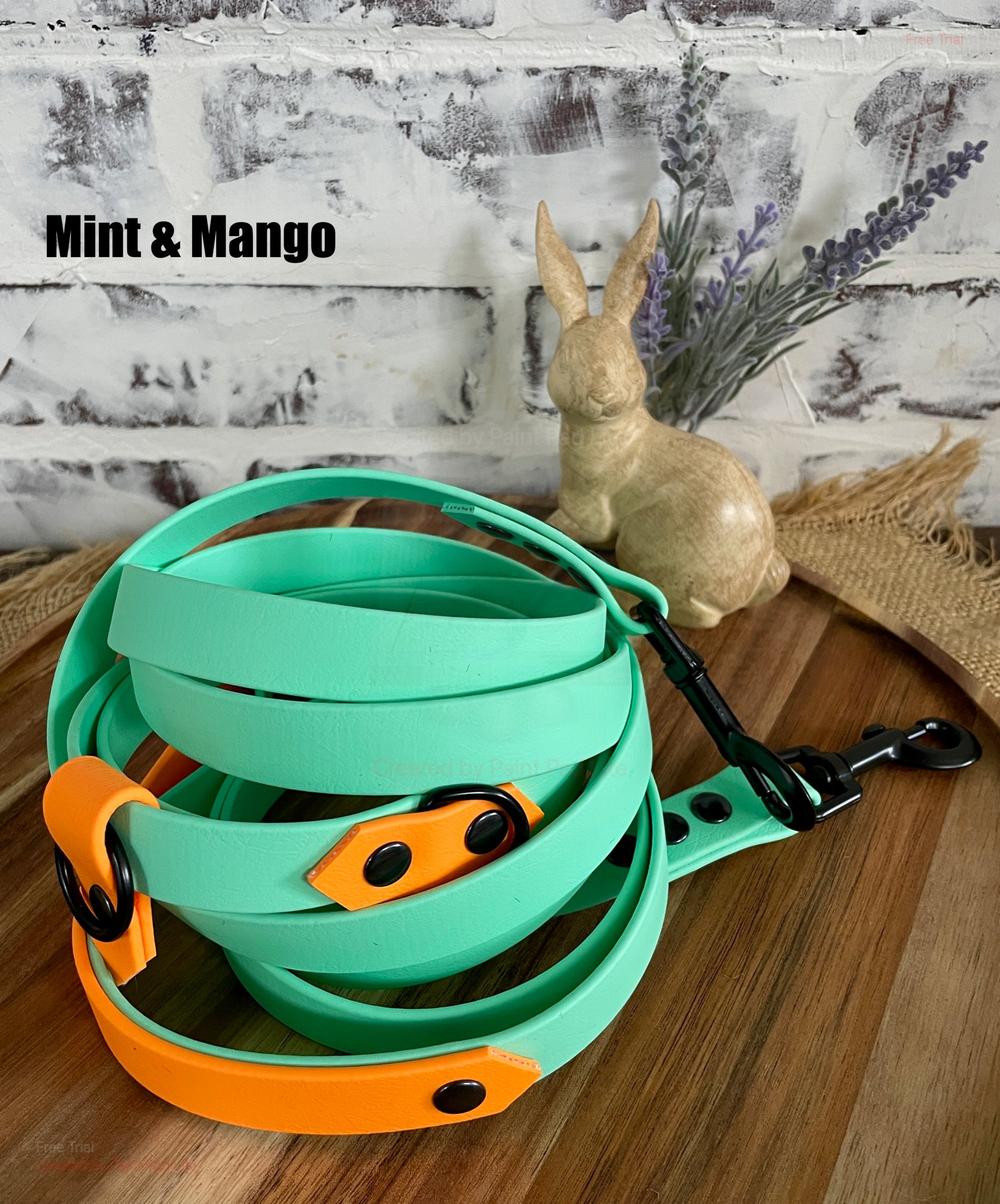 Hands Free • Waterproof Biothane Dog Leash