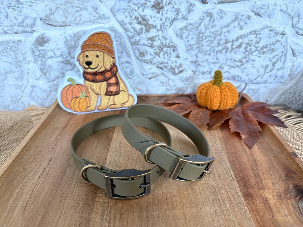 Waterproof Biothane Dog Collar