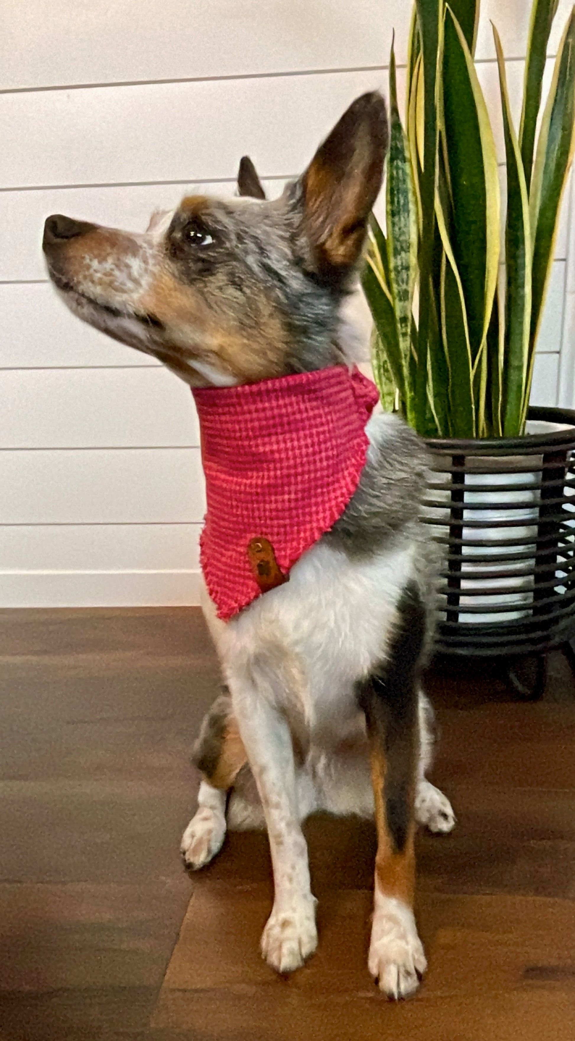 Pink & Red Houndstooth Flannel Bandana