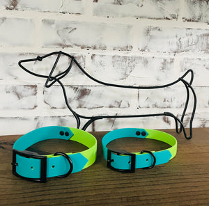 Teal and Lime - Waterproof Dog Collar