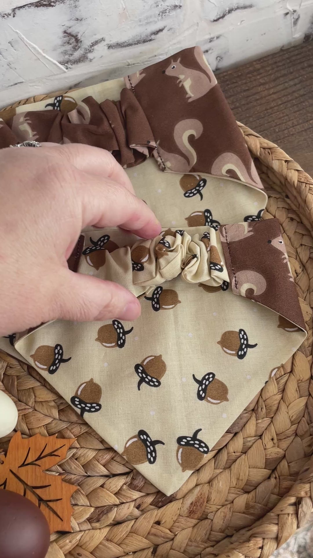 Squirrel Patrol Reversible Bandana