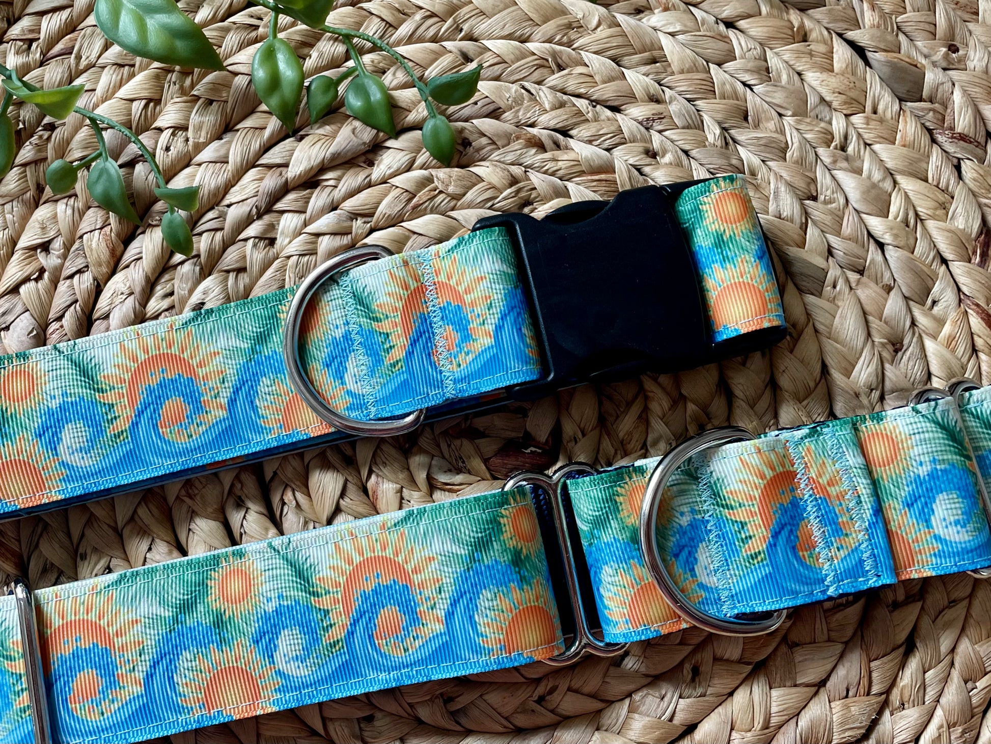 1.5" Golden Coast