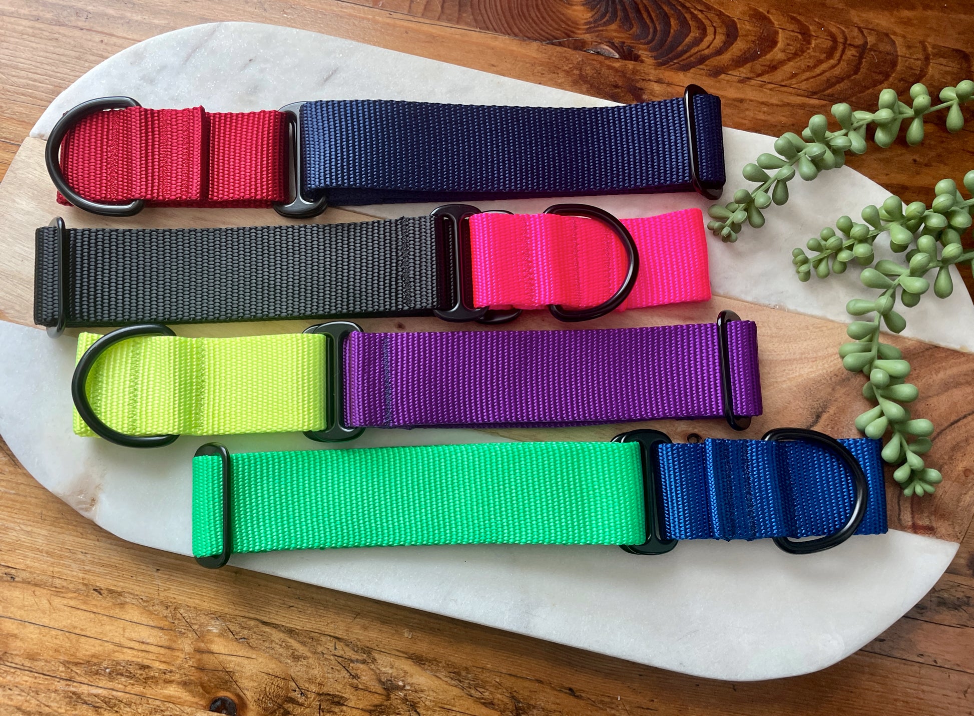 1.5" Wide Solid Nylon Martingale - Pick your Color