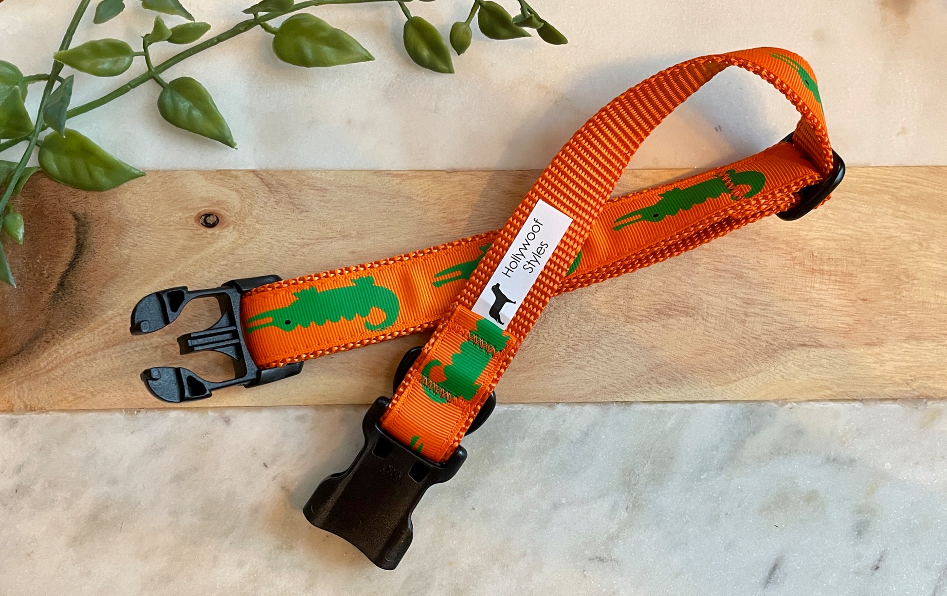 1" Alligator