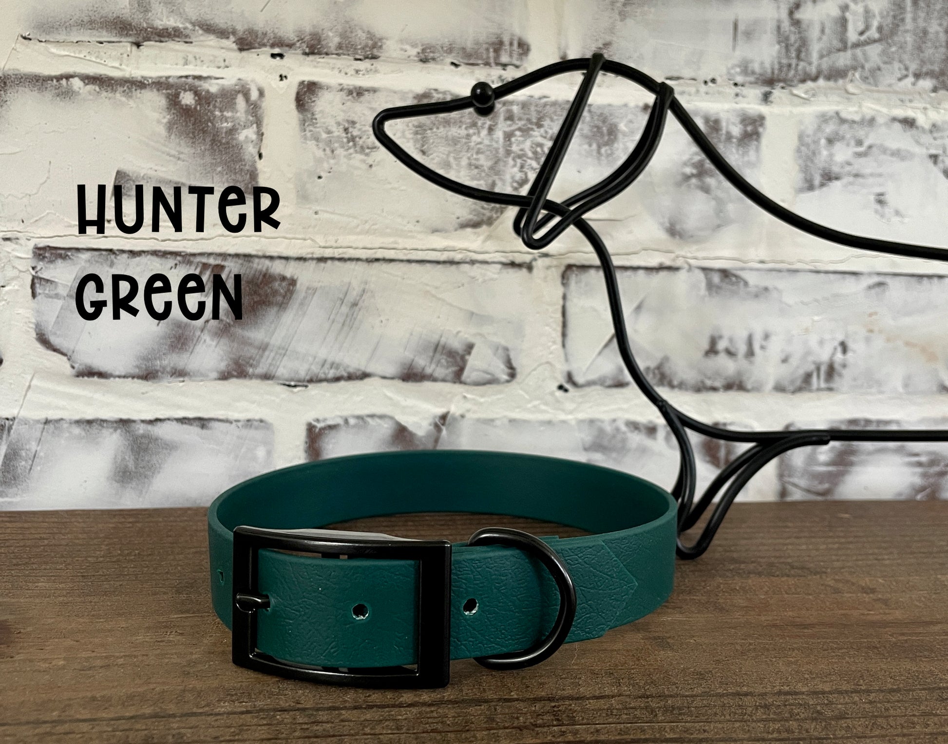 1" Waterproof Biothane Dog Collar