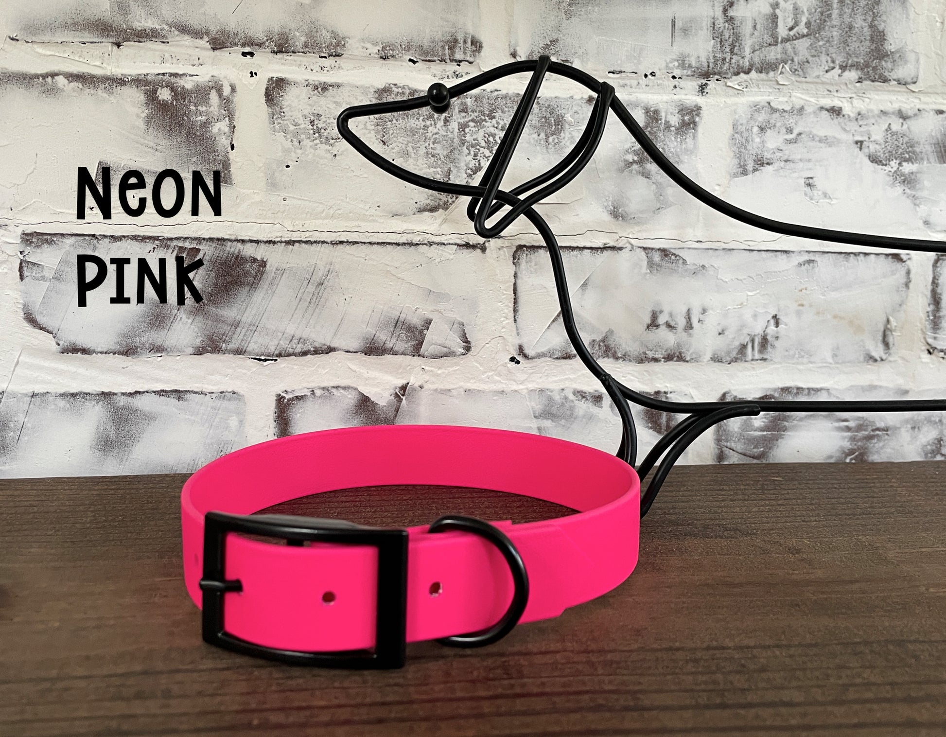 1" Waterproof Biothane Dog Collar