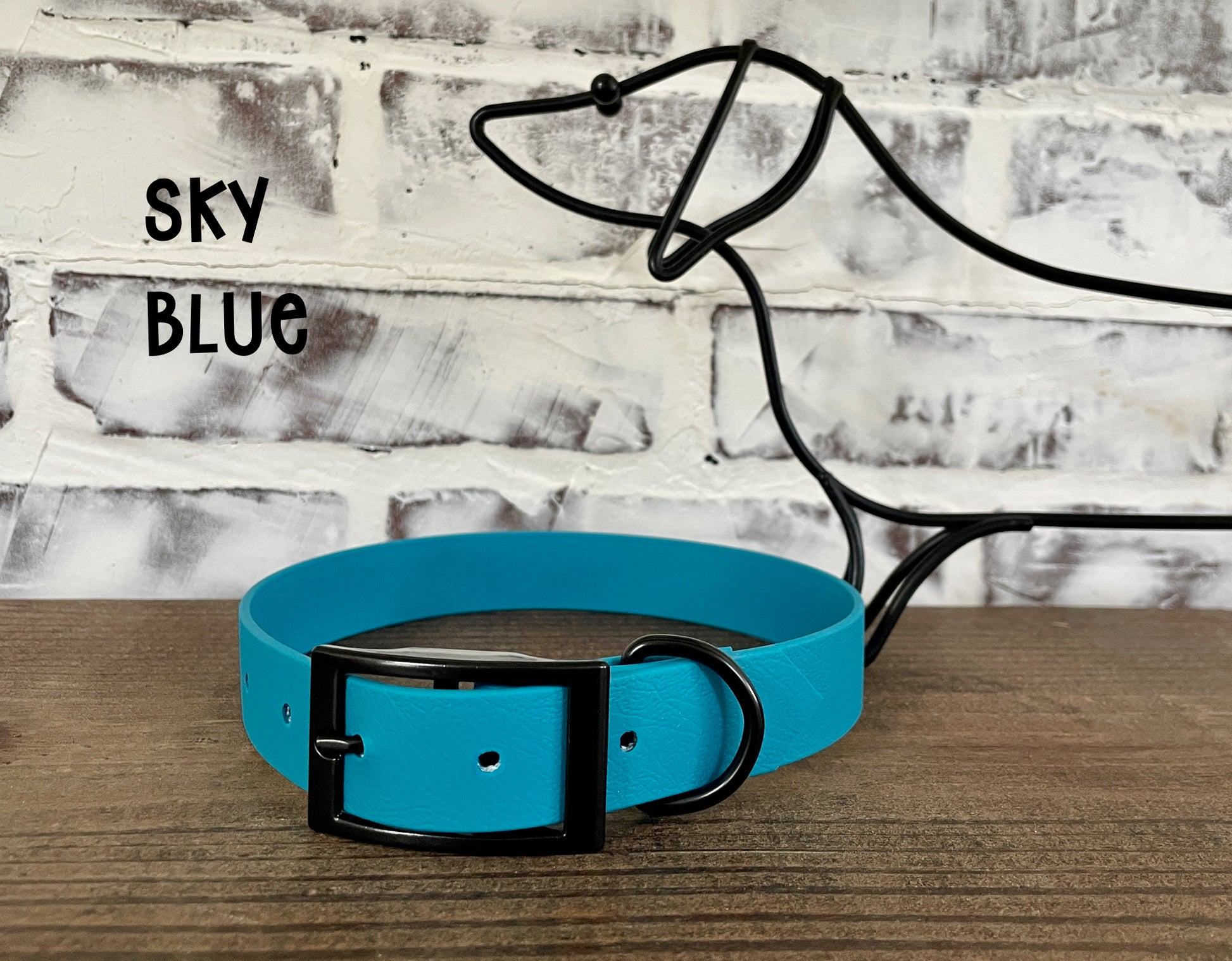 1" Waterproof Biothane Dog Collar