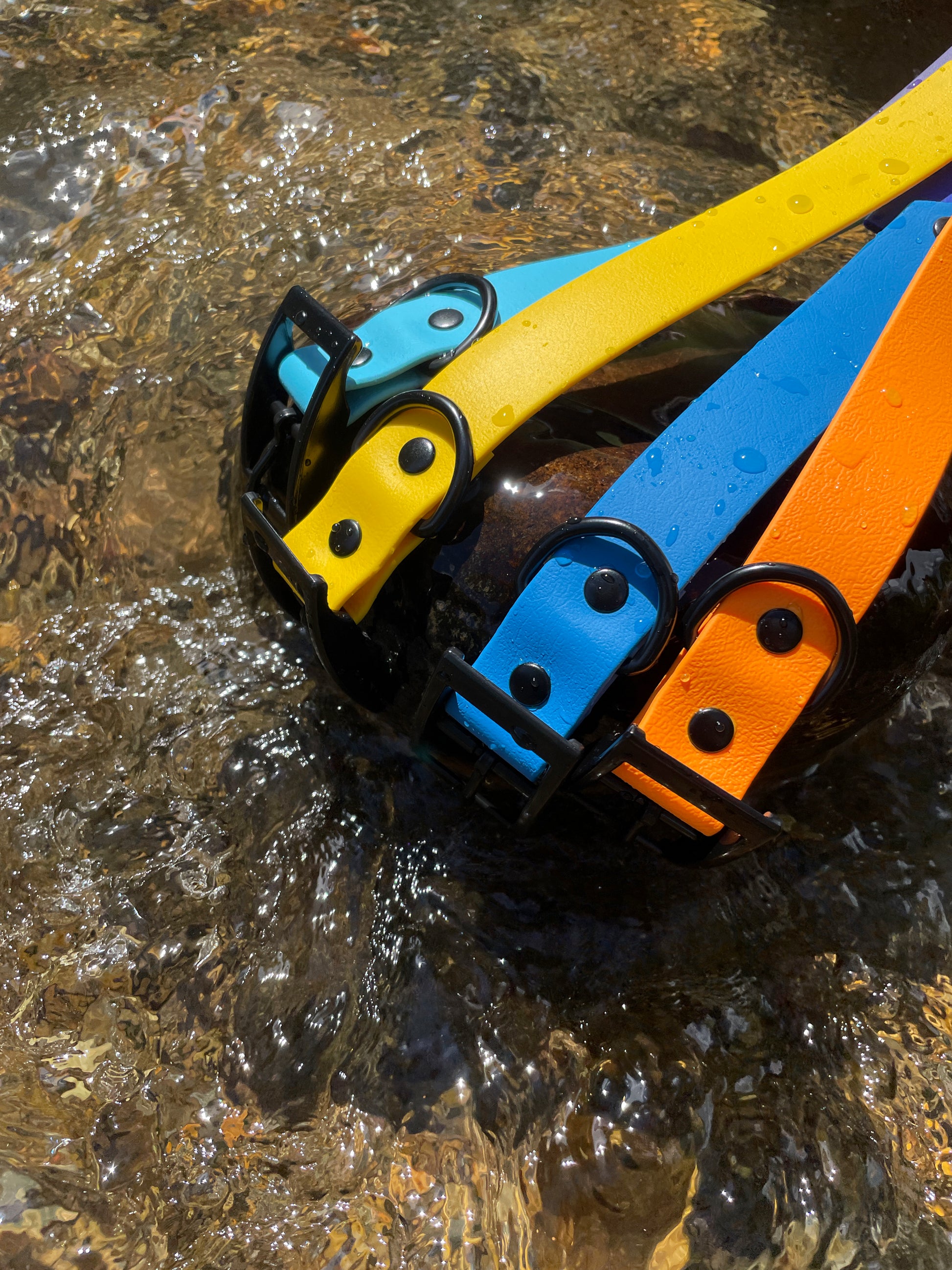 1" Waterproof Biothane Dog Collar