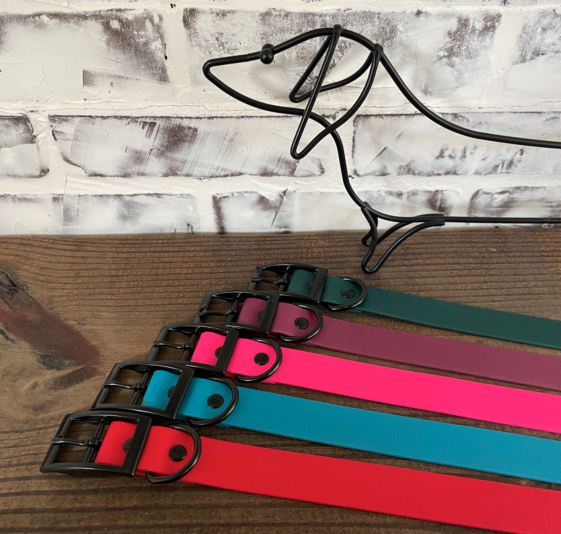 1" Waterproof Biothane Dog Collar