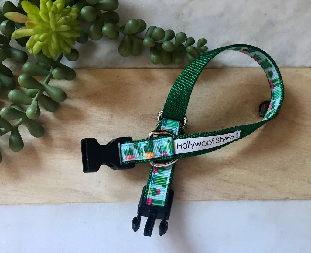1/2" Succulents