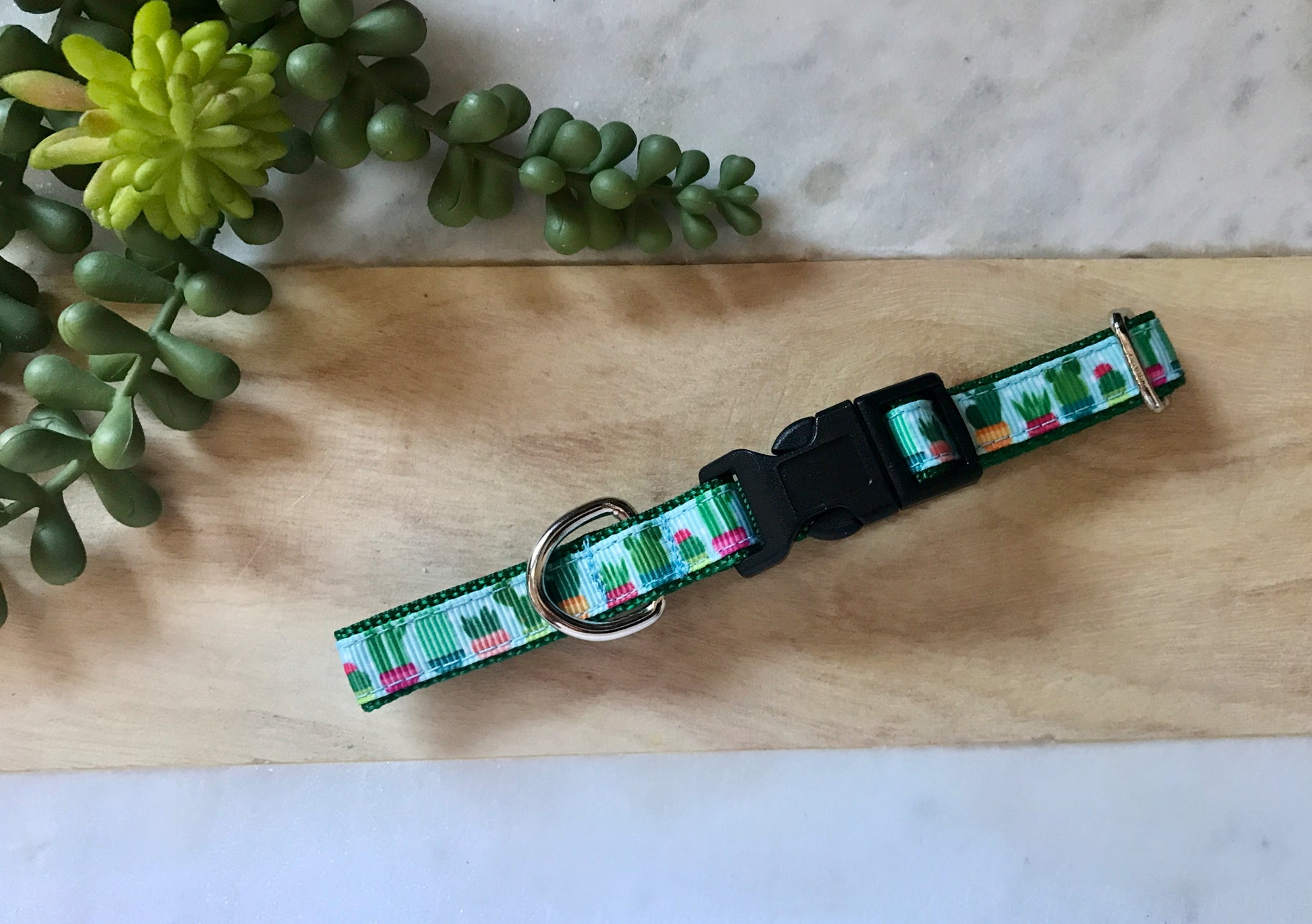 1/2" Succulents