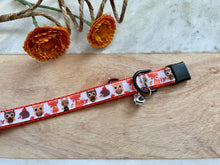 Load image into Gallery viewer, Woodland Friends Cat Collar Breakaway