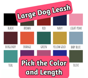 1" Large Dog Solid Nylon Leash