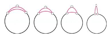 1.5" Wide Solid Nylon Martingale - Pick your Color