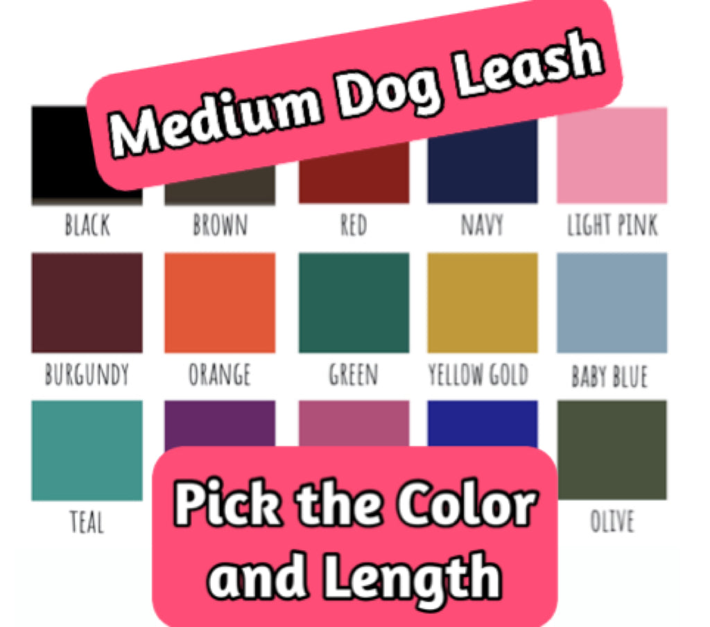 3/4" Solid Nylon Leash